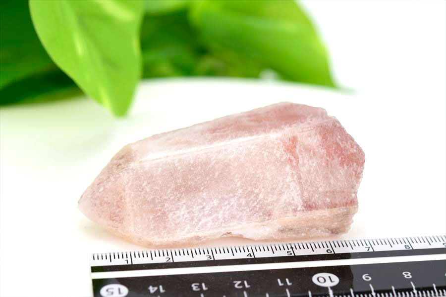 ピンクレムリアン　ドリームシクル　レムリアンシード　スカーレットテンプルレムリアン　PinkLemurian　Batatal　ブラジル　原石　天然石　パワーストーン