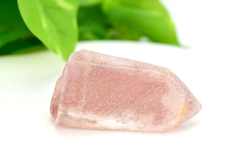 ピンクレムリアン　ドリームシクル　レムリアンシード　スカーレットテンプルレムリアン　PinkLemurian　Batatal　ブラジル　原石　天然石　パワーストーン