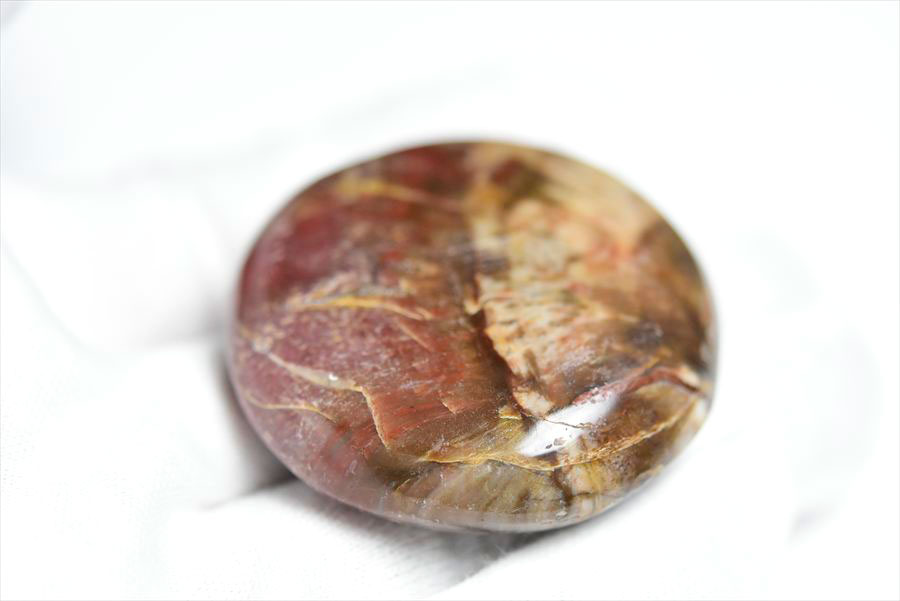 ペトリファイドウッド パームストーン｜タンブル｜珪化木｜マーブル