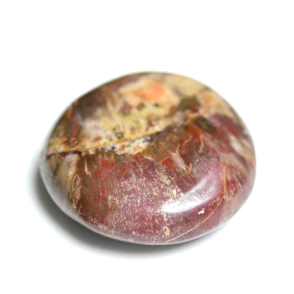 ペトリファイドウッド パームストーン｜タンブル｜珪化木｜マーブル