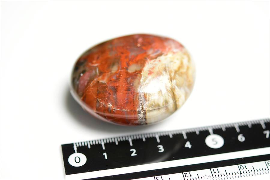 マダガスカル産　ペトリファイドウッド　珪化木　置物　パームストーン　タンブル　petrified wood　天然石　パワーストーン