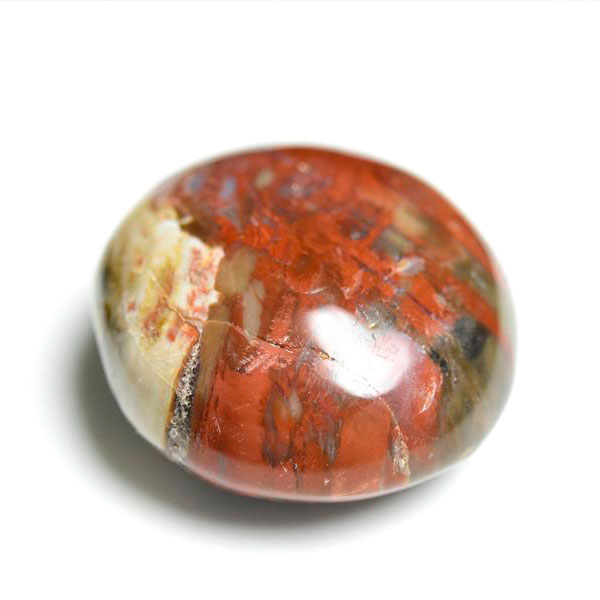 マダガスカル産　ペトリファイドウッド　珪化木　置物　パームストーン　タンブル　petrified wood　天然石　パワーストーン
