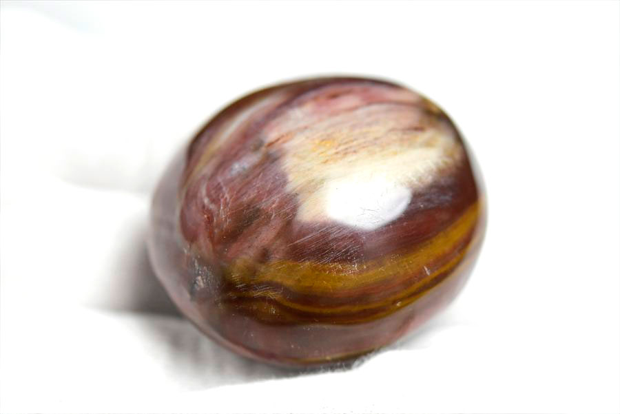 マダガスカル産　ペトリファイドウッド　珪化木　置物　パームストーン　タンブル　petrified wood　天然石　パワーストーン