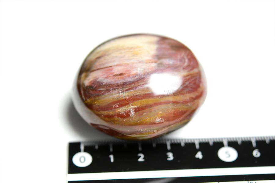 マダガスカル産　ペトリファイドウッド　珪化木　置物　パームストーン　タンブル　petrified wood　天然石　パワーストーン