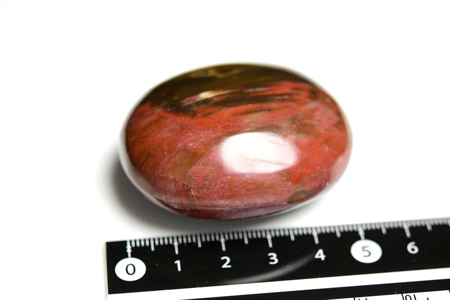マダガスカル産　ペトリファイドウッド　珪化木　置物　パームストーン　タンブル　petrified wood　天然石　パワーストーン