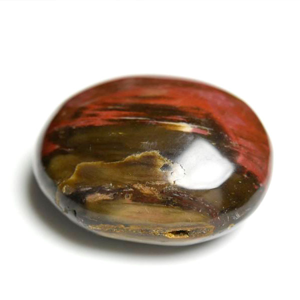 マダガスカル産　ペトリファイドウッド　珪化木　置物　パームストーン　タンブル　petrified wood　天然石　パワーストーン
