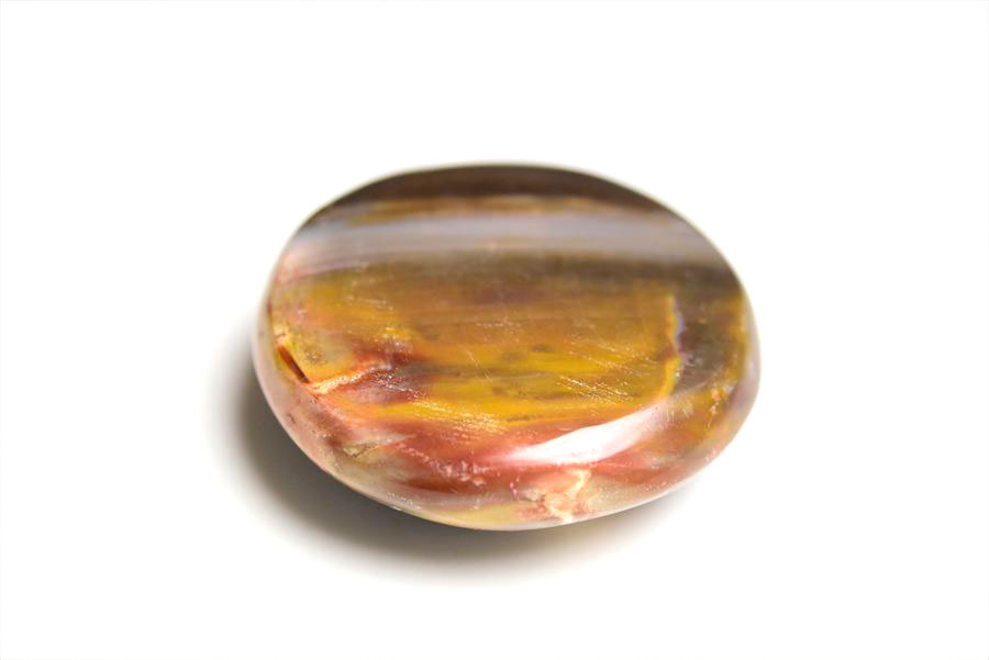 マダガスカル産　ペトリファイドウッド　珪化木　置物　パームストーン　タンブル　petrified wood　天然石　パワーストーン