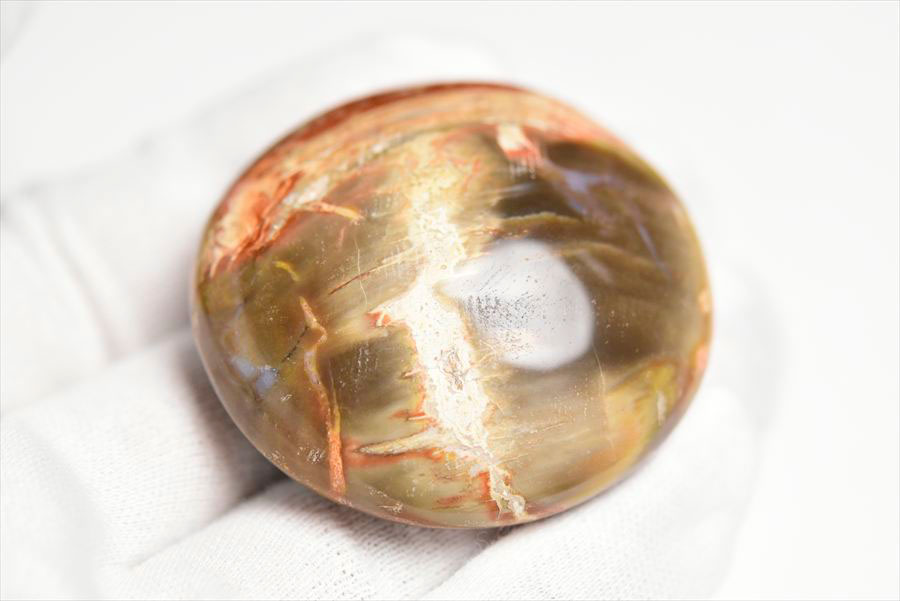 マダガスカル産　ペトリファイドウッド　珪化木　置物　パームストーン　タンブル　petrified wood　天然石　パワーストーン