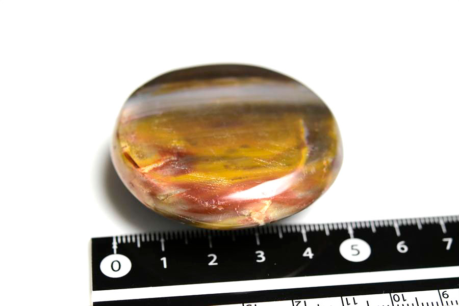 マダガスカル産　ペトリファイドウッド　珪化木　置物　パームストーン　タンブル　petrified wood　天然石　パワーストーン