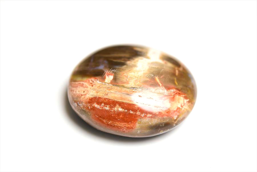 マダガスカル産　ペトリファイドウッド　珪化木　置物　パームストーン　タンブル　petrified wood　天然石　パワーストーン