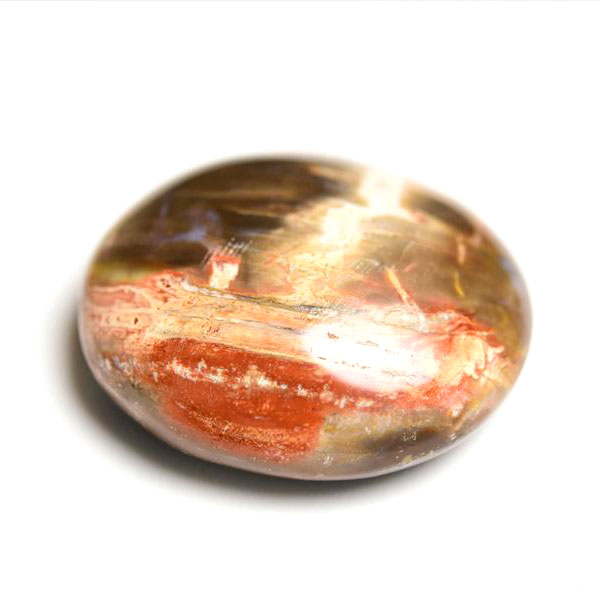 マダガスカル産　ペトリファイドウッド　珪化木　置物　パームストーン　タンブル　petrified wood　天然石　パワーストーン