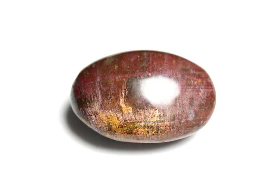 マダガスカル産　ペトリファイドウッド　珪化木　置物　パームストーン　タンブル　petrified wood　天然石　パワーストーン