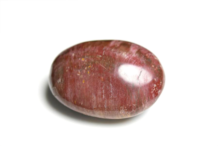 マダガスカル産　ペトリファイドウッド　珪化木　置物　パームストーン　タンブル　petrified wood　天然石　パワーストーン