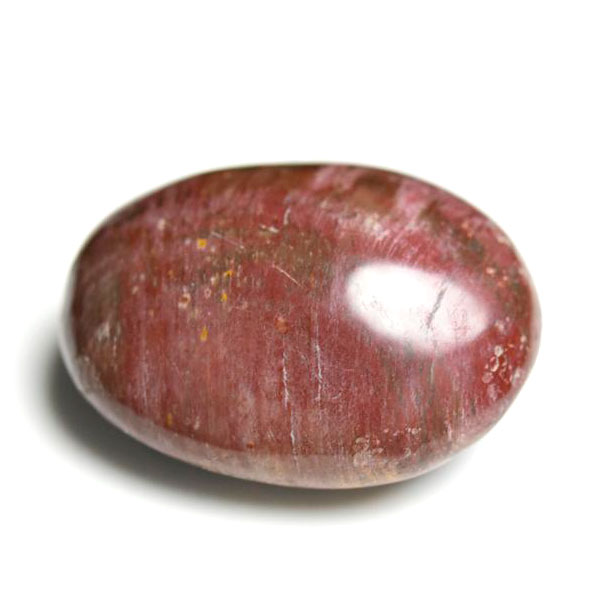 マダガスカル産　ペトリファイドウッド　珪化木　置物　パームストーン　タンブル　petrified wood　天然石　パワーストーン