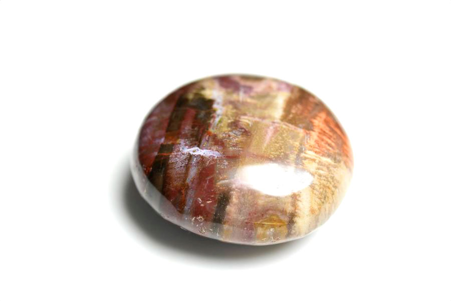 マダガスカル産　ペトリファイドウッド　珪化木　置物　パームストーン　タンブル　petrified wood　天然石　パワーストーン