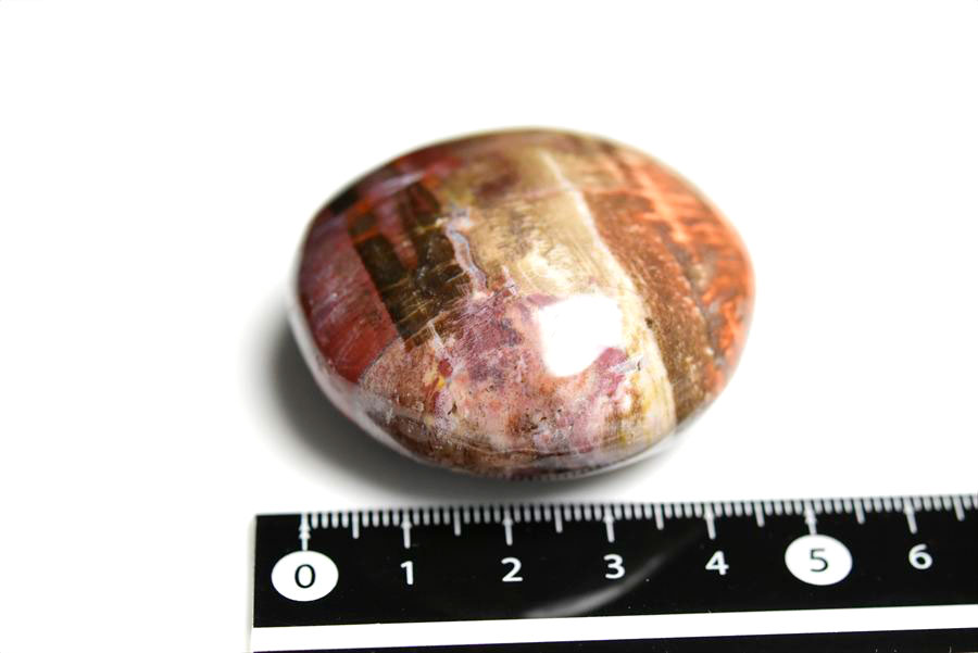 マダガスカル産　ペトリファイドウッド　珪化木　置物　パームストーン　タンブル　petrified wood　天然石　パワーストーン