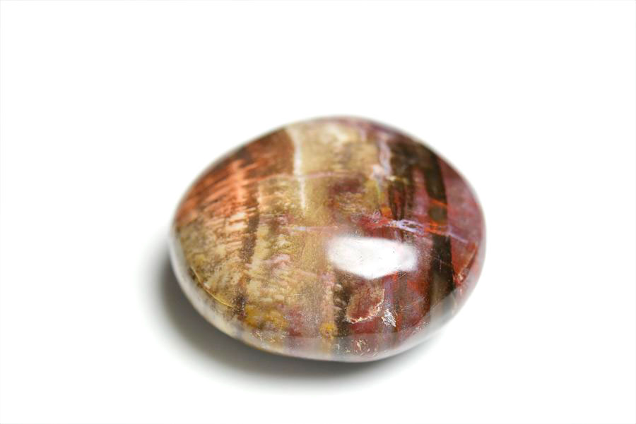 マダガスカル産　ペトリファイドウッド　珪化木　置物　パームストーン　タンブル　petrified wood　天然石　パワーストーン