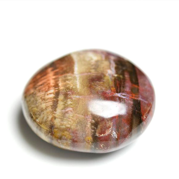 マダガスカル産　ペトリファイドウッド　珪化木　置物　パームストーン　タンブル　petrified wood　天然石　パワーストーン
