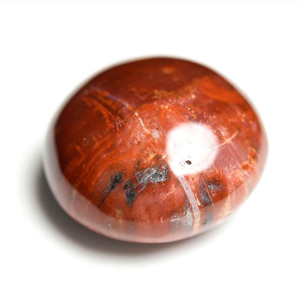 マダガスカル産　ペトリファイドウッド　珪化木　置物　パームストーン　タンブル　petrified wood　天然石　パワーストーン