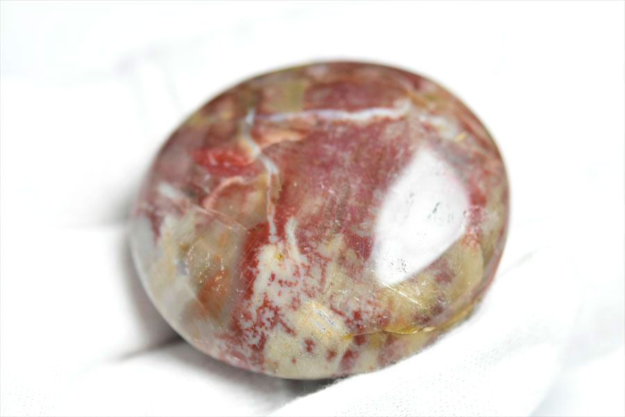 マダガスカル産　ペトリファイドウッド　珪化木　置物　パームストーン　タンブル　petrified wood　天然石　パワーストーン