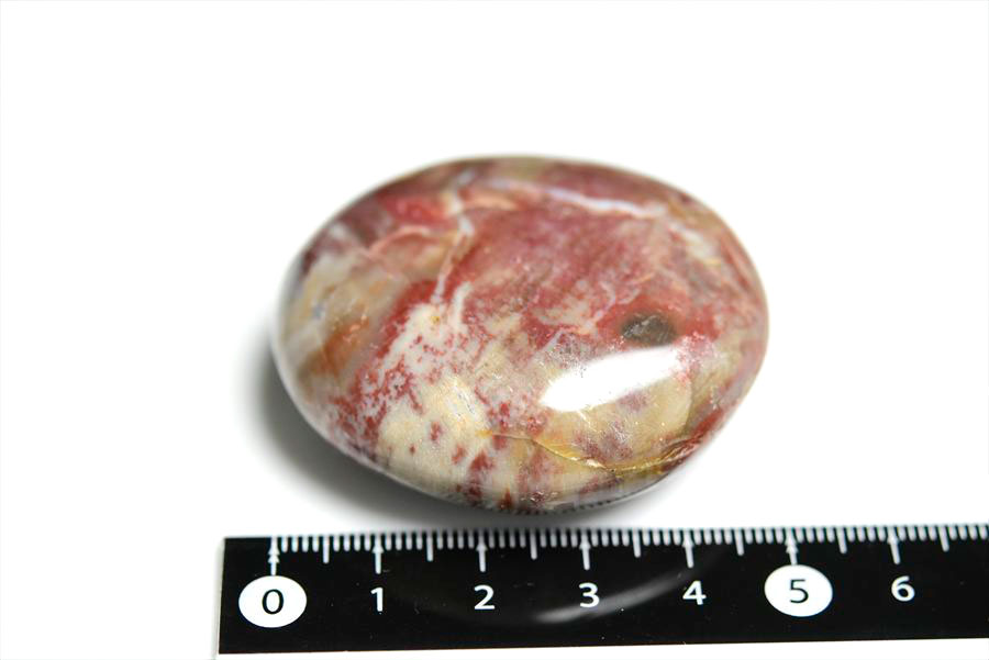 マダガスカル産　ペトリファイドウッド　珪化木　置物　パームストーン　タンブル　petrified wood　天然石　パワーストーン