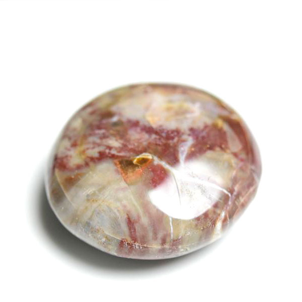 マダガスカル産　ペトリファイドウッド　珪化木　置物　パームストーン　タンブル　petrified wood　天然石　パワーストーン