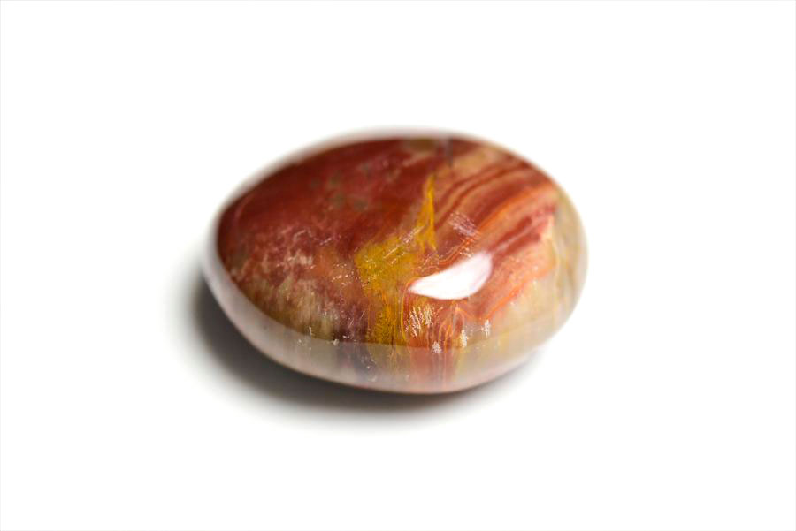 マダガスカル産　ペトリファイドウッド　珪化木　置物　パームストーン　タンブル　petrified wood　天然石　パワーストーン