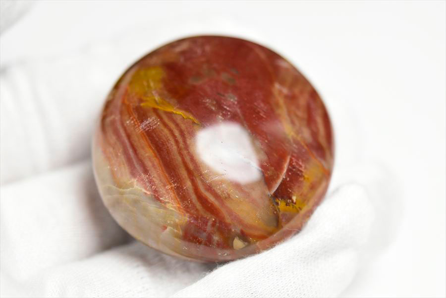 マダガスカル産　ペトリファイドウッド　珪化木　置物　パームストーン　タンブル　petrified wood　天然石　パワーストーン