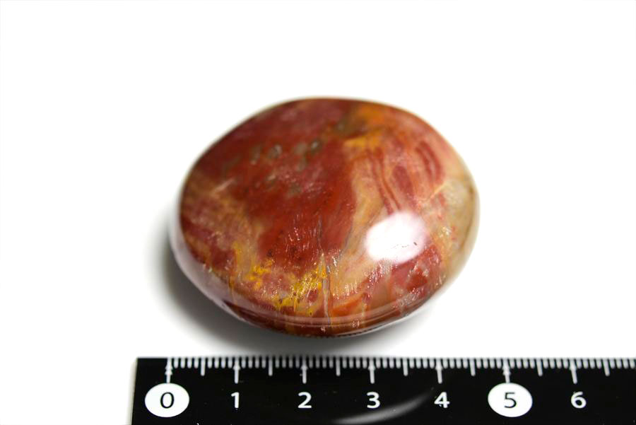 マダガスカル産　ペトリファイドウッド　珪化木　置物　パームストーン　タンブル　petrified wood　天然石　パワーストーン