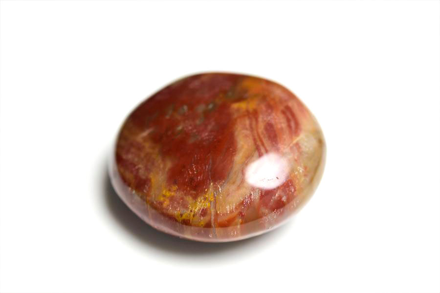 マダガスカル産　ペトリファイドウッド　珪化木　置物　パームストーン　タンブル　petrified wood　天然石　パワーストーン