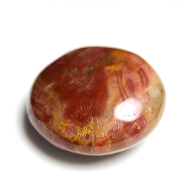 マダガスカル産　ペトリファイドウッド　珪化木　置物　パームストーン　タンブル　petrified wood　天然石　パワーストーン