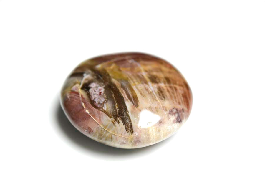 マダガスカル産　ペトリファイドウッド　珪化木　置物　パームストーン　タンブル　petrified wood　天然石　パワーストーン