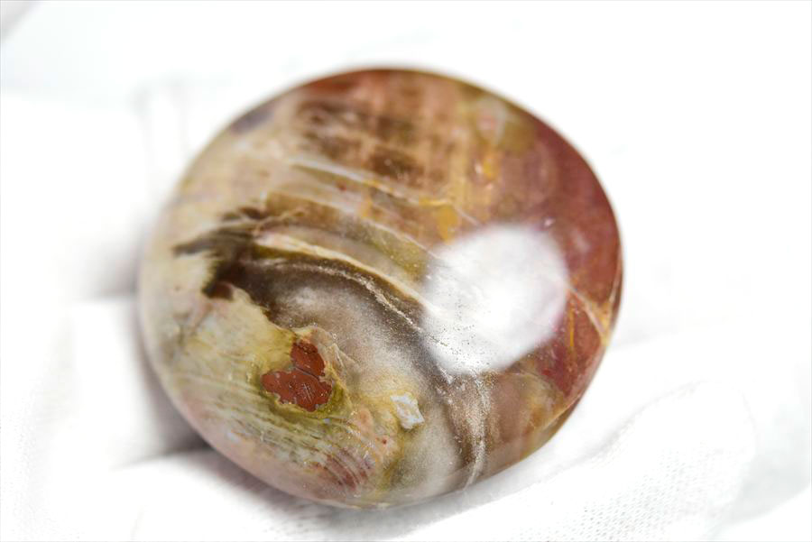 マダガスカル産　ペトリファイドウッド　珪化木　置物　パームストーン　タンブル　petrified wood　天然石　パワーストーン