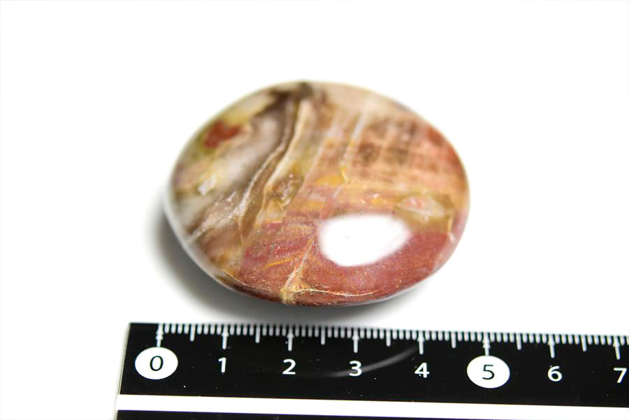 マダガスカル産　ペトリファイドウッド　珪化木　置物　パームストーン　タンブル　petrified wood　天然石　パワーストーン