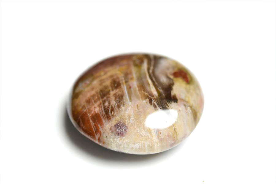 マダガスカル産　ペトリファイドウッド　珪化木　置物　パームストーン　タンブル　petrified wood　天然石　パワーストーン