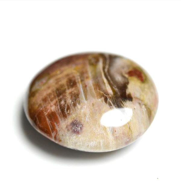 マダガスカル産　ペトリファイドウッド　珪化木　置物　パームストーン　タンブル　petrified wood　天然石　パワーストーン