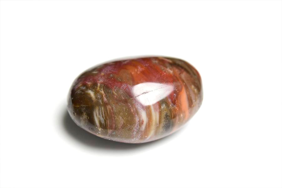 マダガスカル産　ペトリファイドウッド　珪化木　置物　パームストーン　タンブル　petrified wood　天然石　パワーストーン