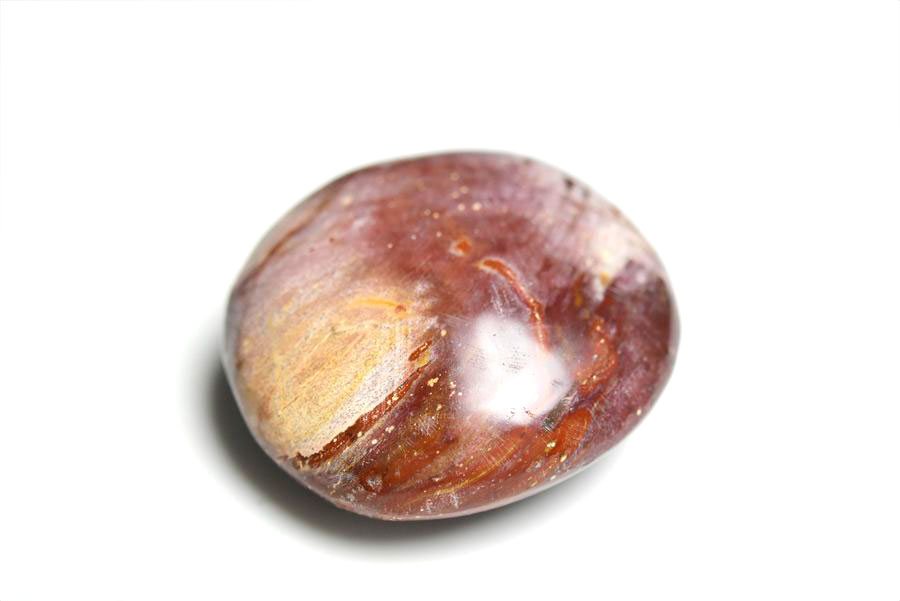 マダガスカル産　ペトリファイドウッド　珪化木　置物　パームストーン　タンブル　petrified wood　天然石　パワーストーン