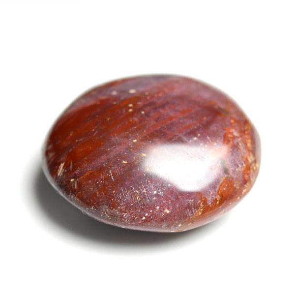 マダガスカル産　ペトリファイドウッド　珪化木　置物　パームストーン　タンブル　petrified wood　天然石　パワーストーン