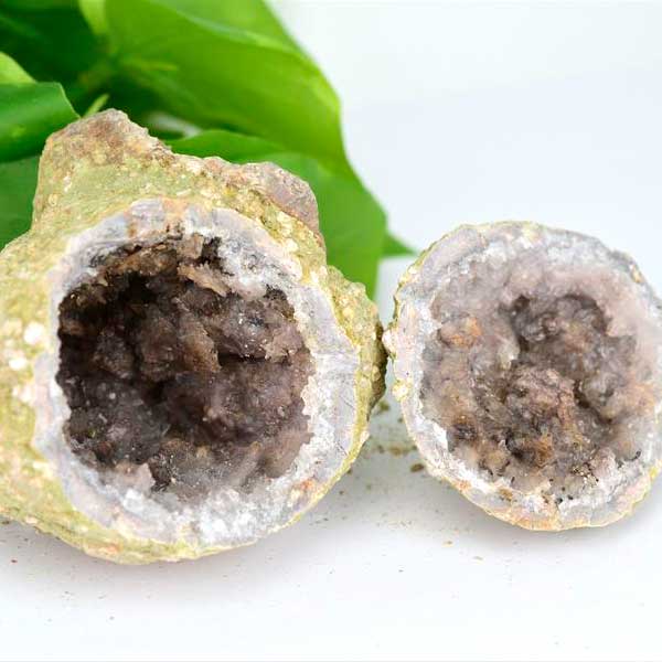 キャンディアップルジオード