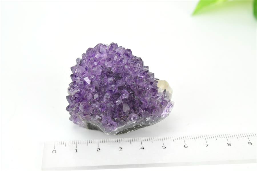 フラワーアメジスト　スタラクタイト　紫水晶　クラスター　原石　ウルグアイ産アメジスト　アルティガス　Artigas Uruguay　インテリア　浄化　置物　結晶　天然石　パワーストーン