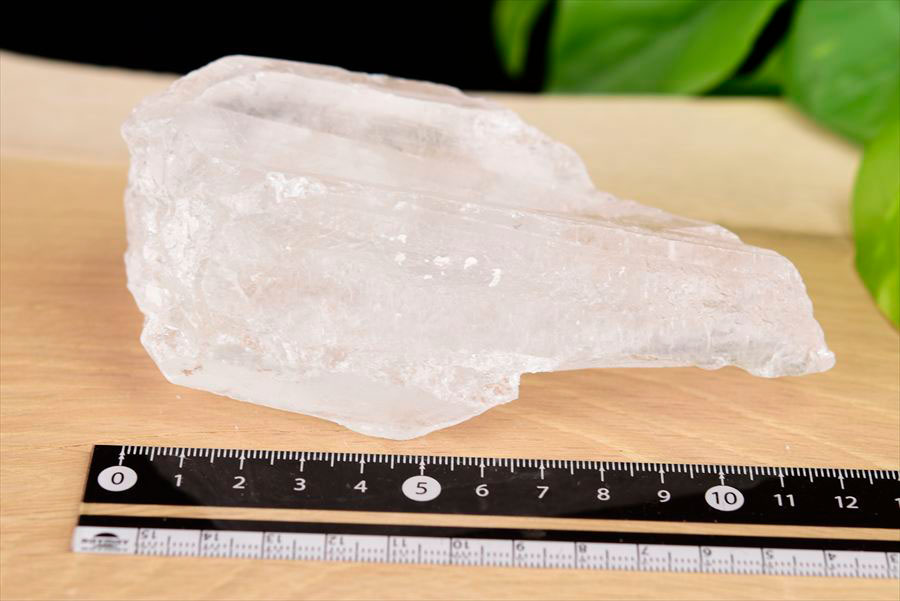 レムリアンルーツ　レムリアンシード　レムリアン水晶　根元　ブラジル　バイーア　root of lemruian　水晶　パワーストーン