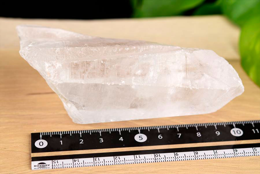 レムリアンルーツ　レムリアンシード　レムリアン水晶　根元　ブラジル　バイーア　root of lemruian　水晶　パワーストーン