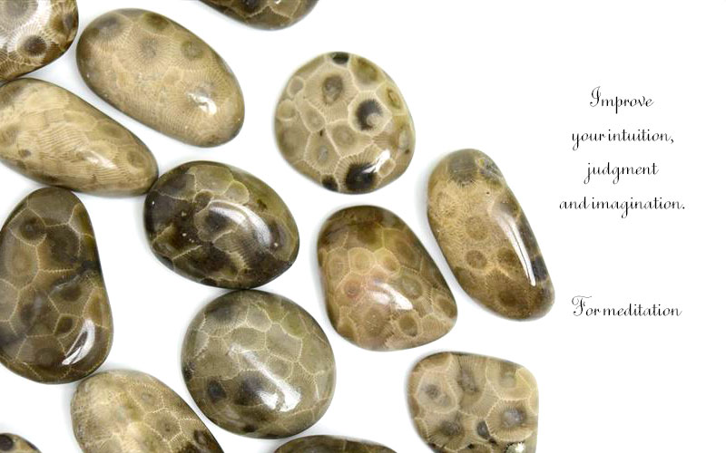ペトスキーストーン　petoskey stone　ミシガン州　珊瑚の化石　フォッシルコーラル　天然石　パワーストーン