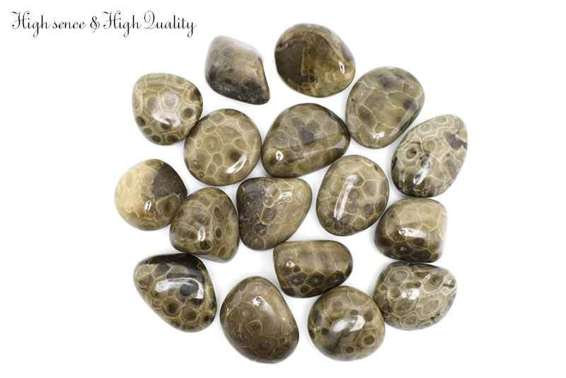 ペトスキーストーン　petoskey stone　ミシガン州　珊瑚の化石　フォッシルコーラル　天然石　パワーストーン