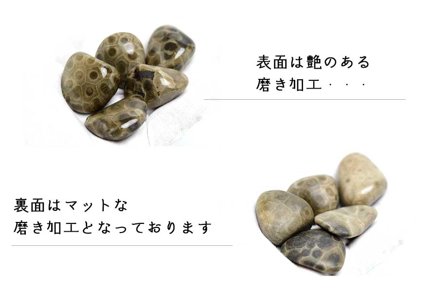 ペトスキーストーン　petoskey stone　ミシガン州　珊瑚の化石　フォッシルコーラル　天然石　パワーストーン