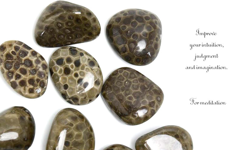 ペトスキーストーン　petoskey stone　ミシガン州　珊瑚の化石　フォッシルコーラル　天然石　パワーストーン