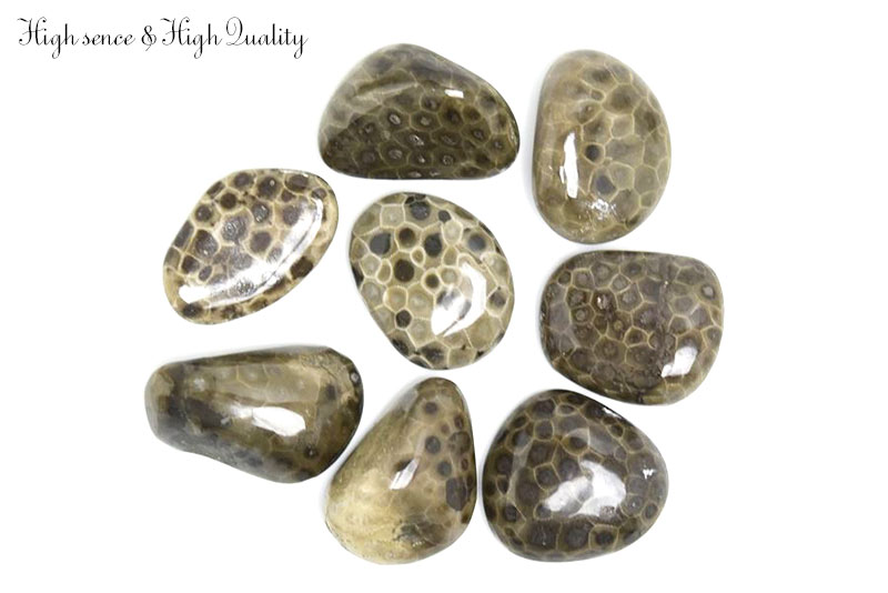 ペトスキーストーン　petoskey stone　ミシガン州　珊瑚の化石　フォッシルコーラル　天然石　パワーストーン