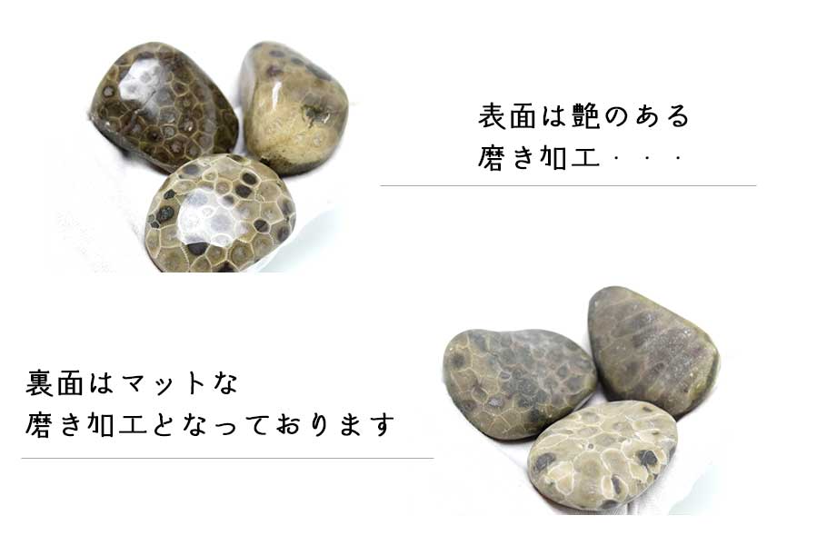 ペトスキーストーン　petoskey stone　ミシガン州　珊瑚の化石　フォッシルコーラル　天然石　パワーストーン