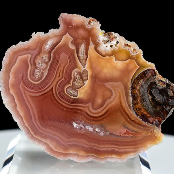 メキシコ産 ラグナアゲート Laguna Agate｜ハーフカット｜ノジュール